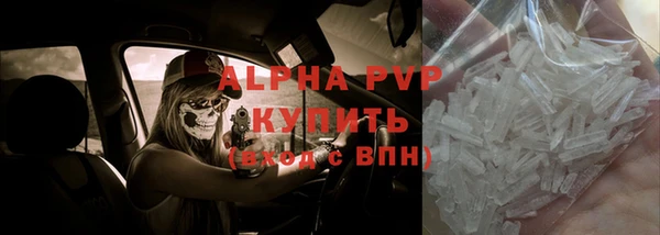гашик Пестово
