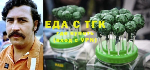 гашик Пестово