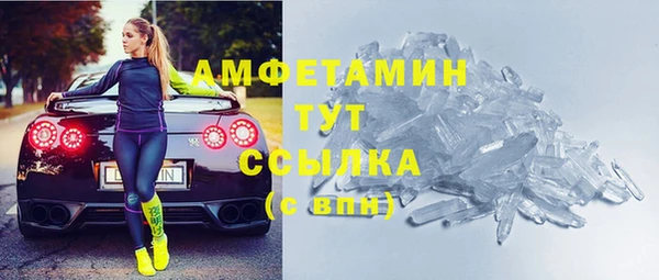 твердый Пересвет