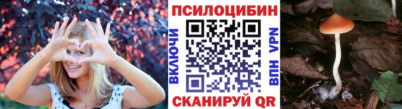Галлюциногенные грибы Psilocybine cubensis  МЕГА ссылки  Удачный 